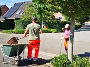 olympisch groen